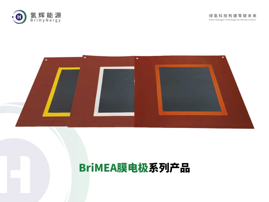 BriMEA membrane electrode